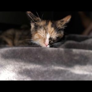 Meet your Posher, Rachael